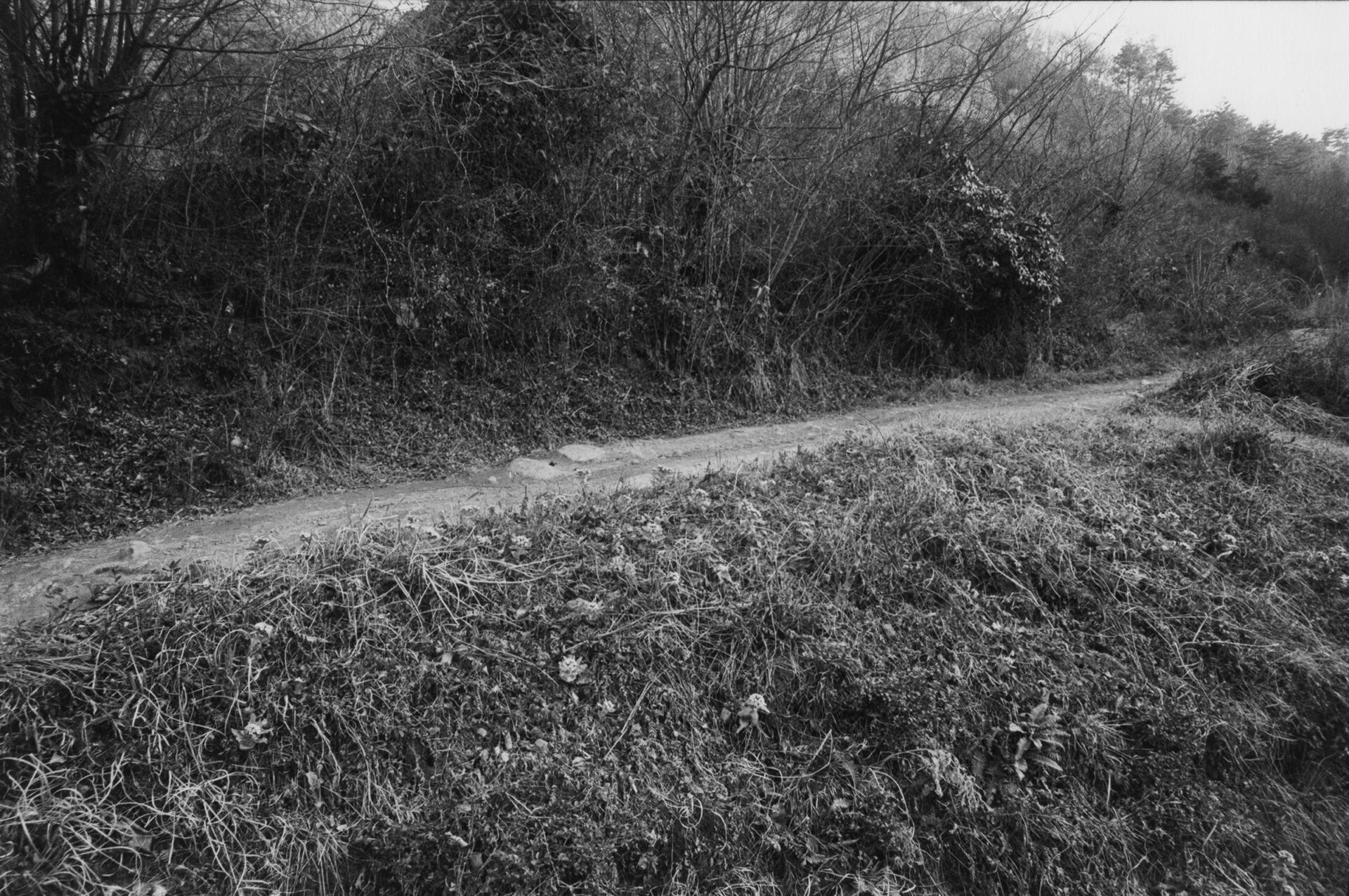 北井一夫という写真家 | 北井一夫プロダクション